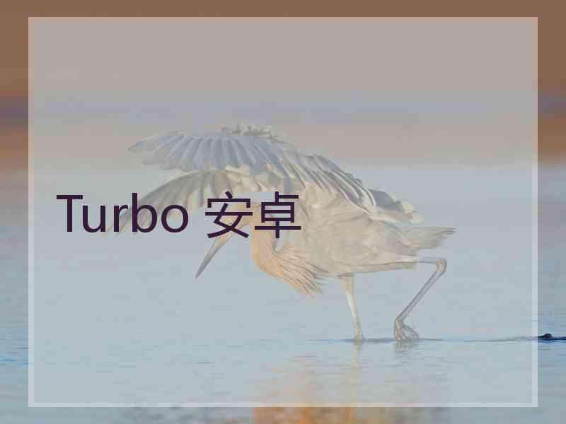 Turbo 安卓