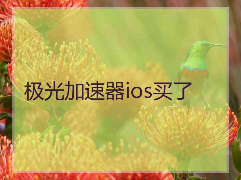 极光加速器ios买了