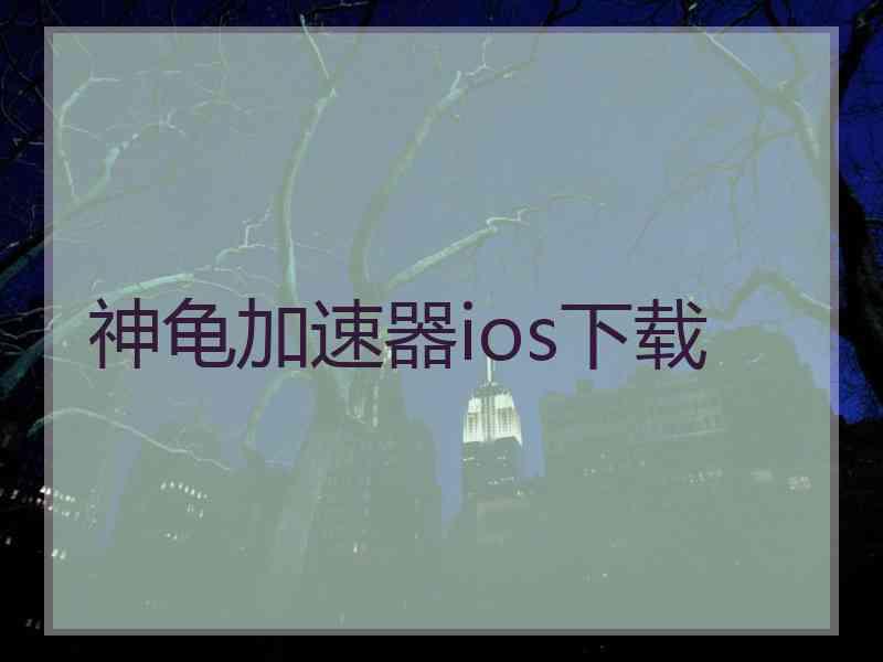 神龟加速器ios下载