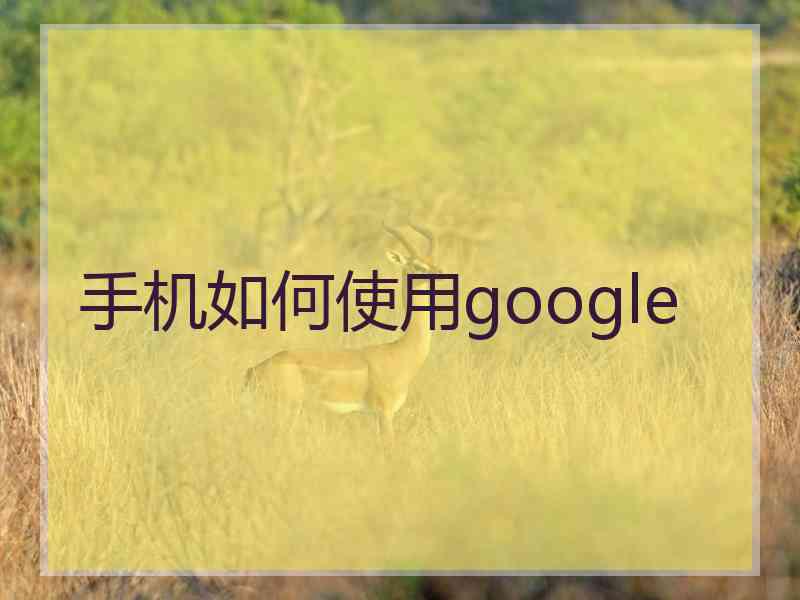 手机如何使用google