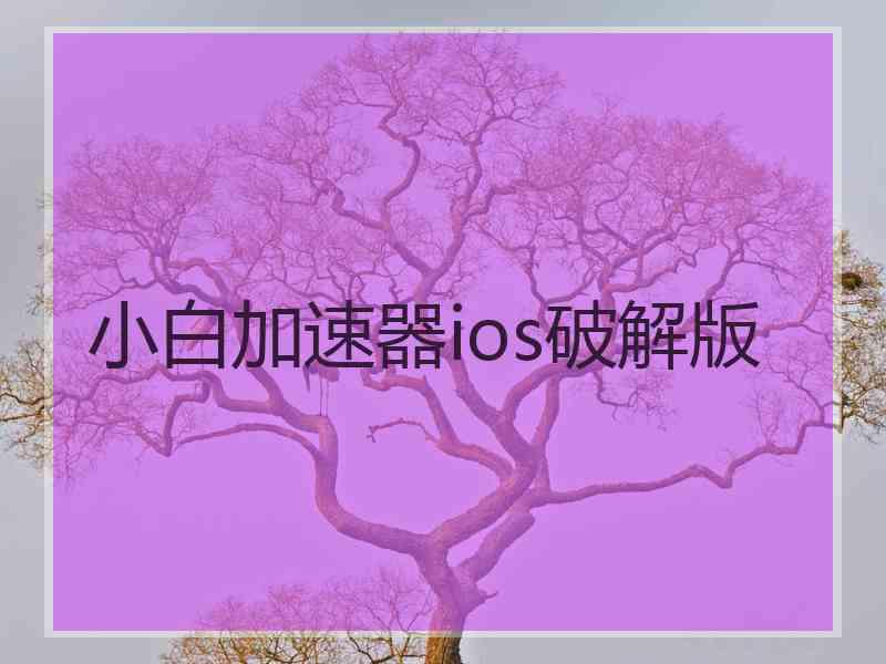 小白加速器ios破解版