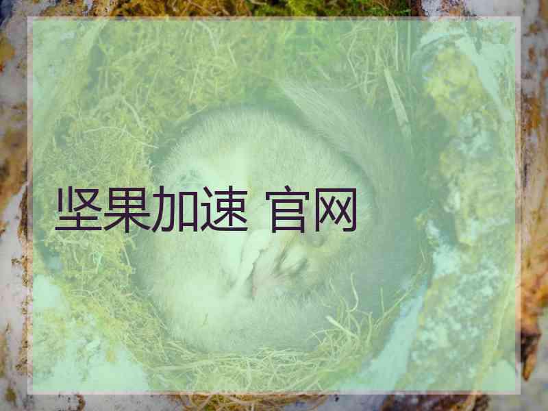 坚果加速 官网