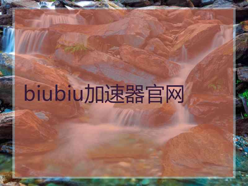 biubiu加速器官网