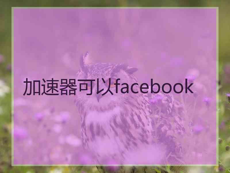 加速器可以facebook