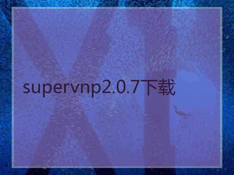 supervnp2.0.7下载