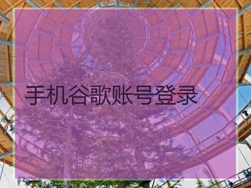 手机谷歌账号登录