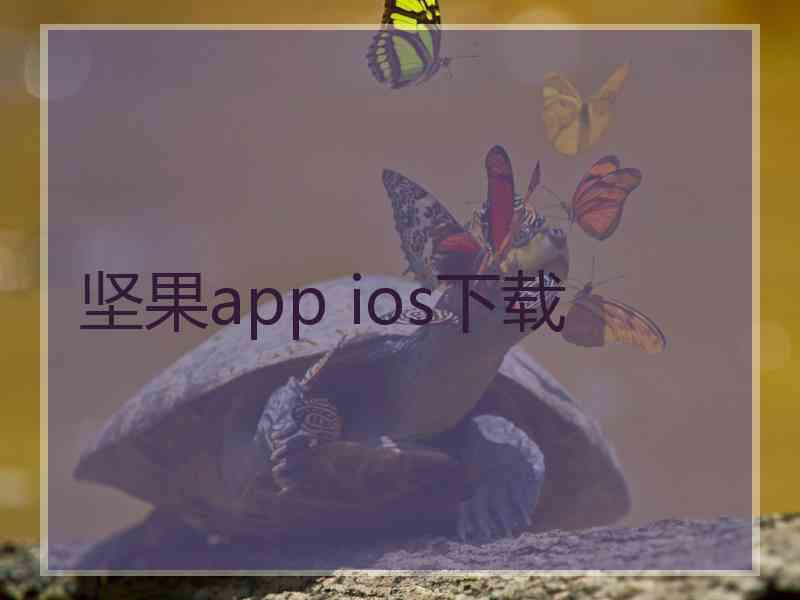 坚果app ios下载