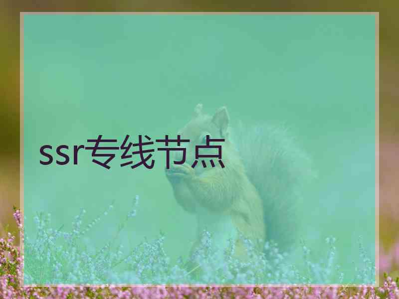 ssr专线节点