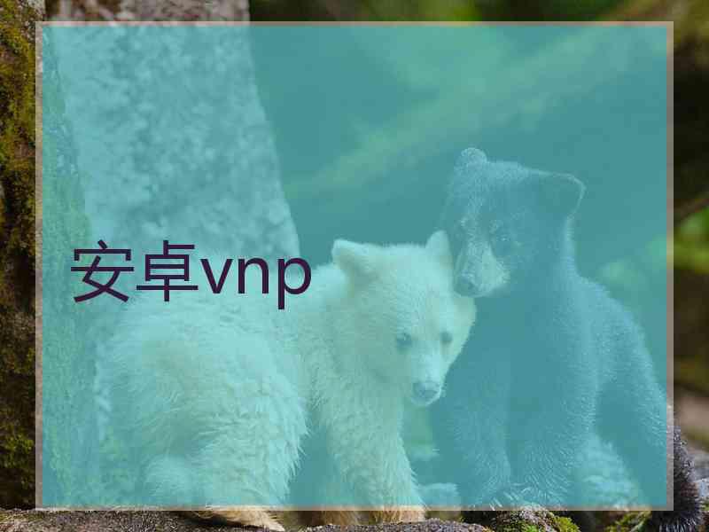 安卓vnp