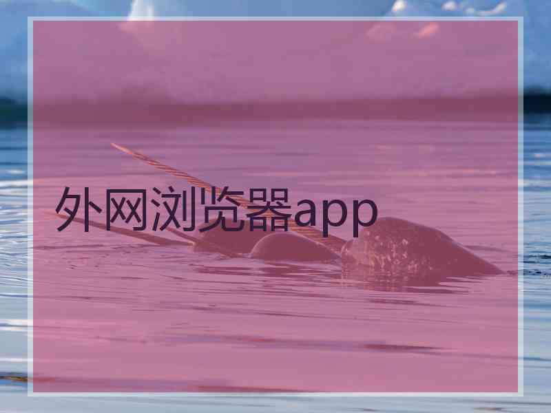 外网浏览器app