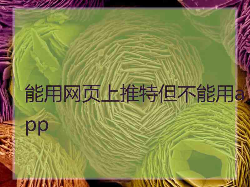 能用网页上推特但不能用app