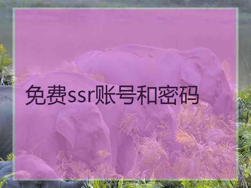 免费ssr账号和密码