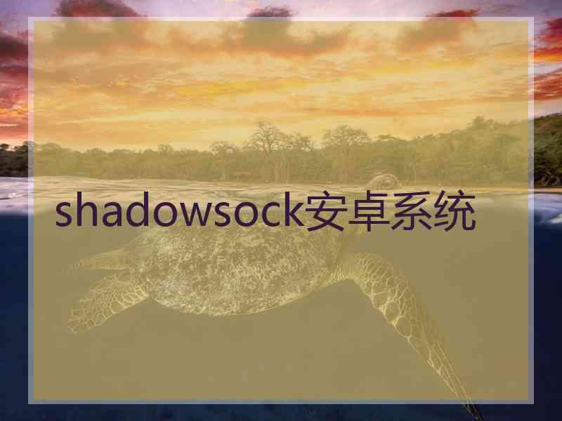 shadowsock安卓系统