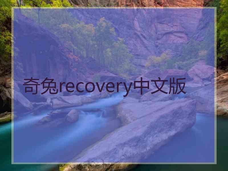 奇兔recovery中文版