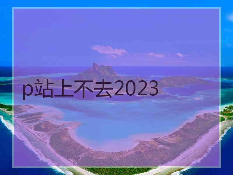 p站上不去2023