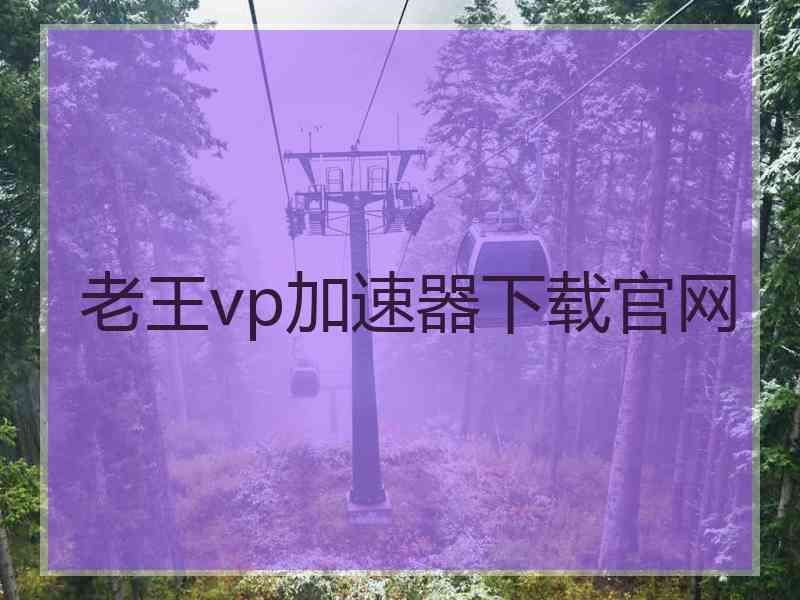 老王vp加速器下载官网