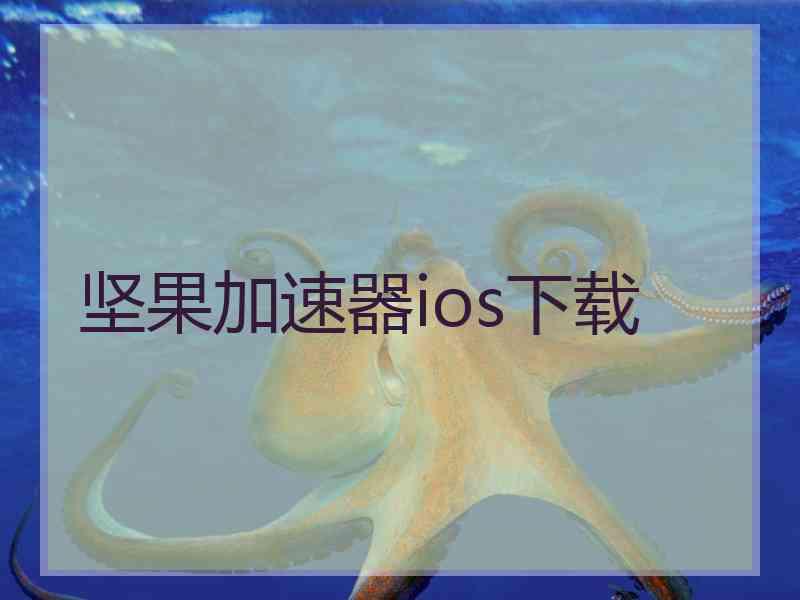 坚果加速器ios下载